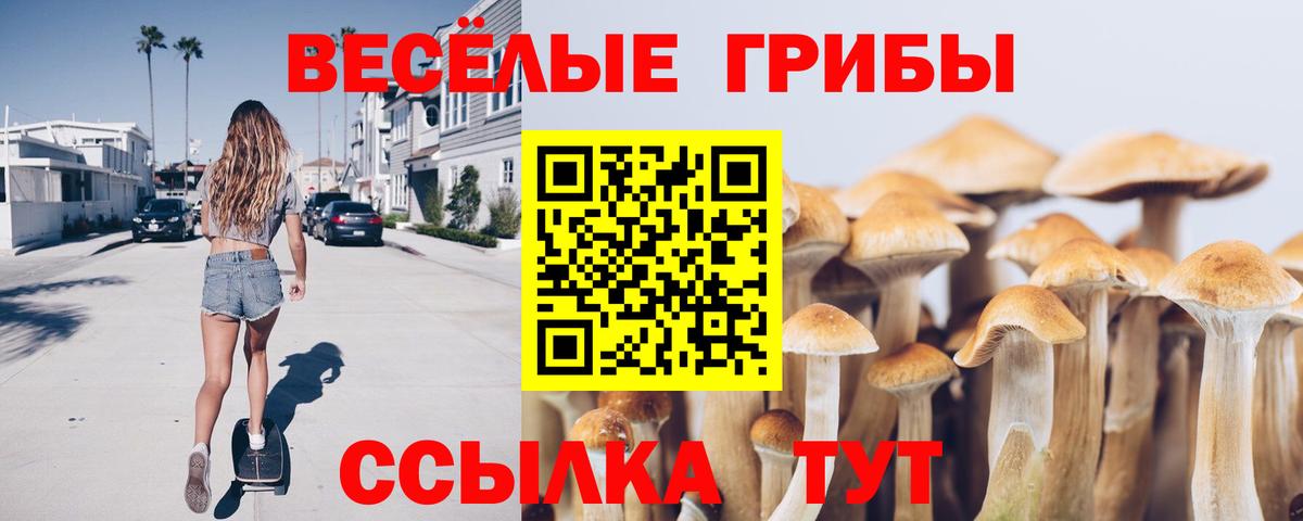 Псилоцибиновые грибы GOLDEN TEACHER  Псилоцибиновые грибы ЛСД  Вход с VPN  Нижний Тагил 
